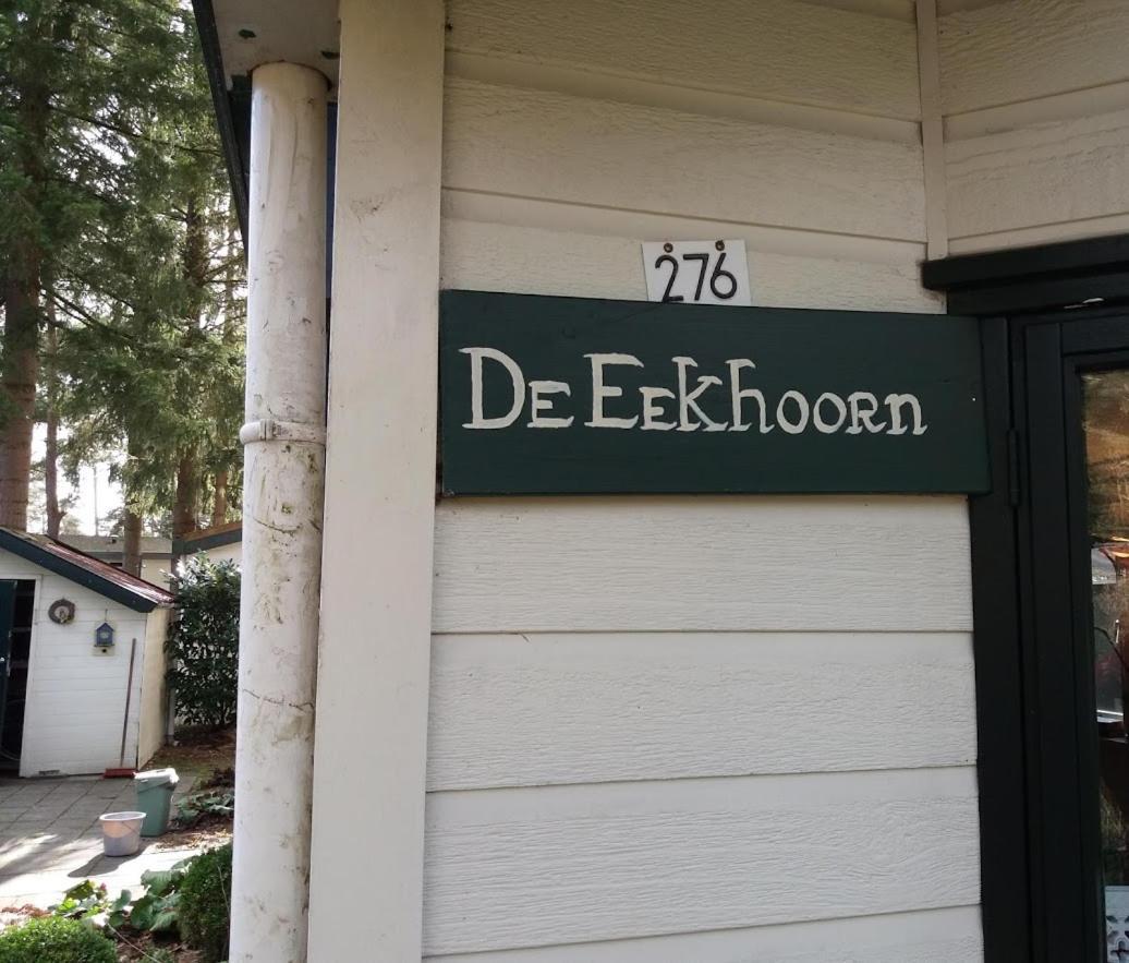 Chalet De Eekhoorn Diever Exterior foto